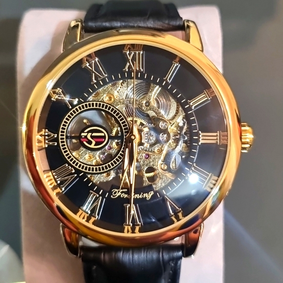 Forsining Other - Forsining Luxury Mechanical Hand Wind Men's Watch